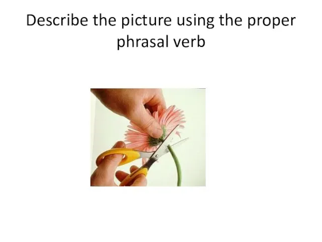 Describe the picture using the proper phrasal verb