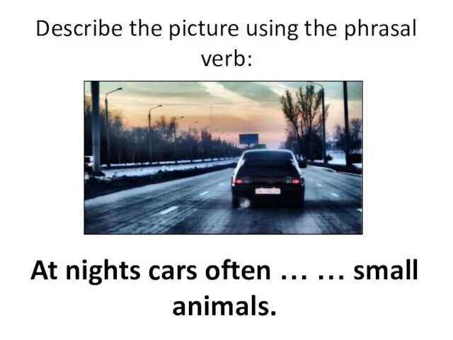 Describe the picture using the phrasal verb: At nights cars often … … small animals.