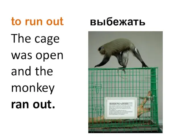 to run out The cage was open and the monkey ran out. выбежать