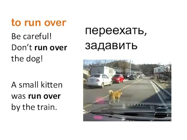 to run over Be careful! Don’t run over the dog! A small