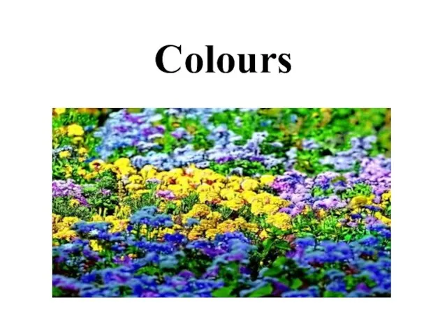 Colours