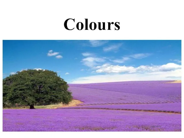 Colours