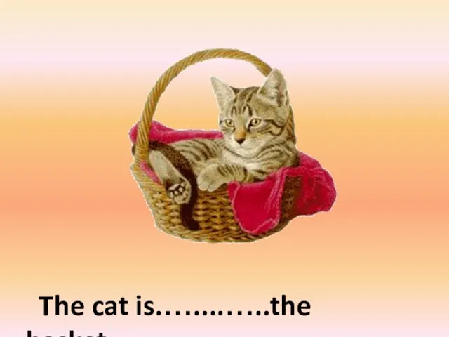 in The cat is.…....…..the basket.