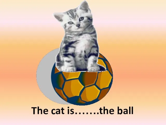 The cat is…….the ball on