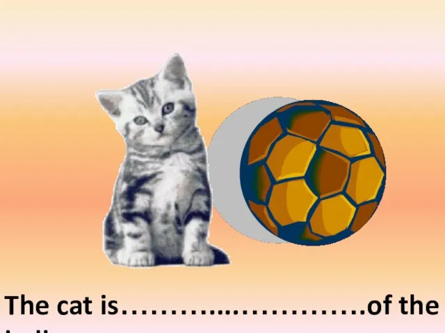 The cat is………....………….of the ball on the left of