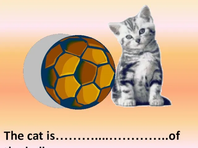 on the right of The cat is………....…………..of the ball