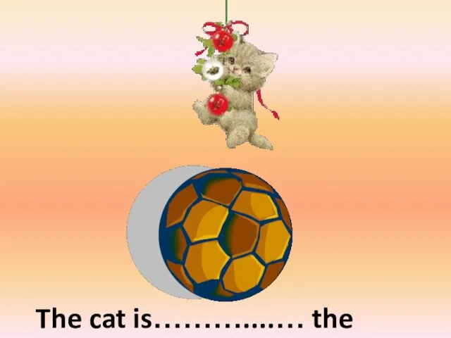 above The cat is………....… the ball