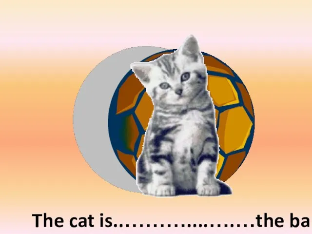 in front of The cat is..………....….…the ball