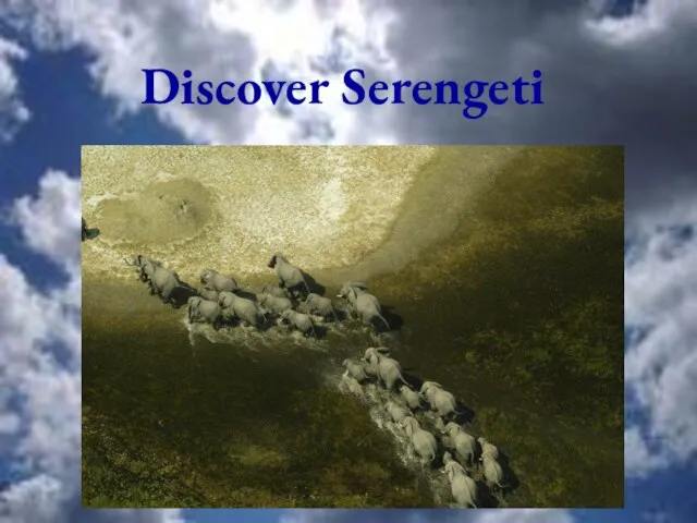 Discover Serengeti