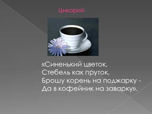 «Синенький цветок, Стебель как пруток, Брошу корень на поджарку - Да в кофейник на заварку». Цикорий