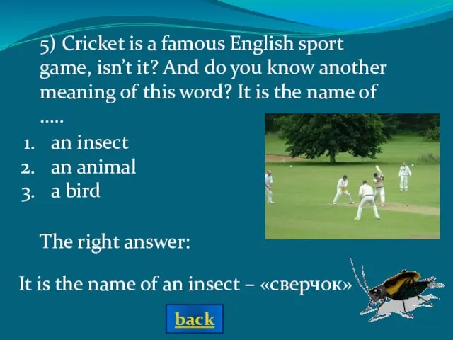 The right answer: an insect an animal a bird It is the