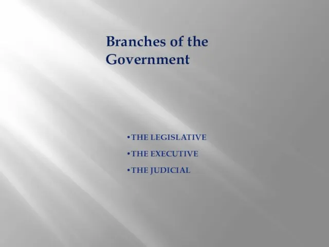 Branches of the Government