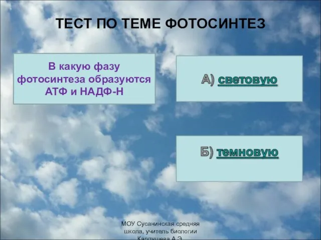 ТЕСТ ПО ТЕМЕ ФОТОСИНТЕЗ В какую фазу фотосинтеза образуются АТФ и НАДФ-Н