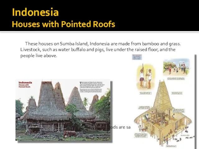 Indonesia Houses with Pointed Roofs These houses on Sumba Island, Indonesia are