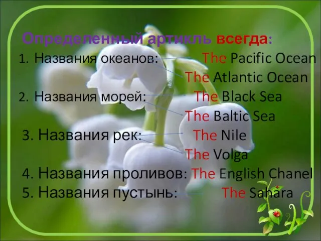 Определенный артикль всегда: Названия океанов: The Pacific Ocean The Atlantic Ocean Названия