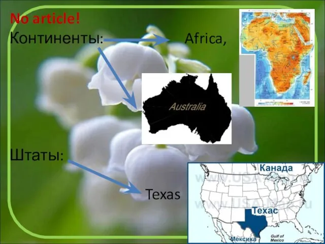 No article! Континенты: Africa, Штаты: Texas