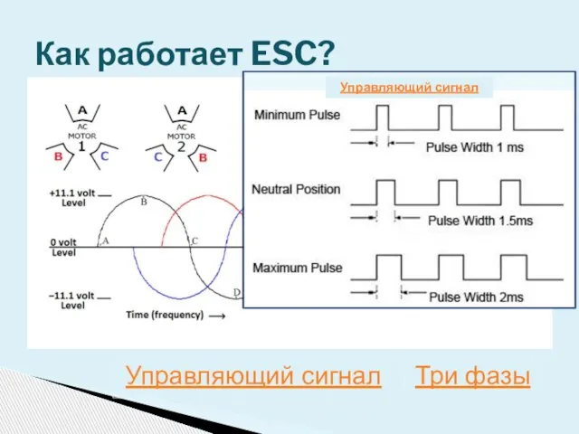 Как работает ESC? Управляющий сигнал Три фазы