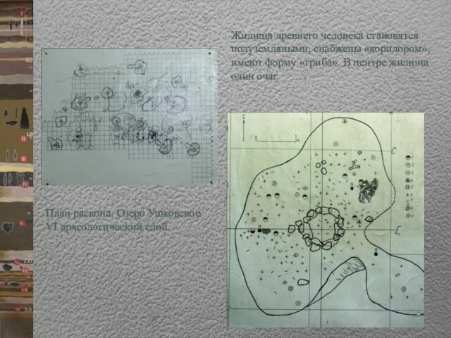 Жилища древнего человека становятся полуземляными, снабжены «коридором», имеют форму «гриба». В центре