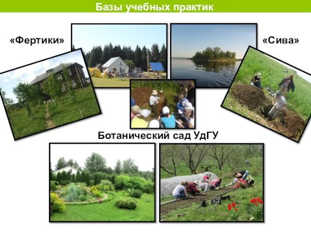 Базы учебных практик Ботанический сад УдГУ «Фертики» «Сива»