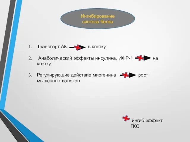 Ингибирование синтеза белка Транспорт АК в клетку Анаболический эффекты инсулина, ИФР-1 на