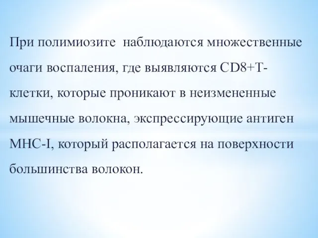 При полимиозите наблюдаются множественные очаги воспаления, где выявляются CD8+Т-клетки, которые проникают в