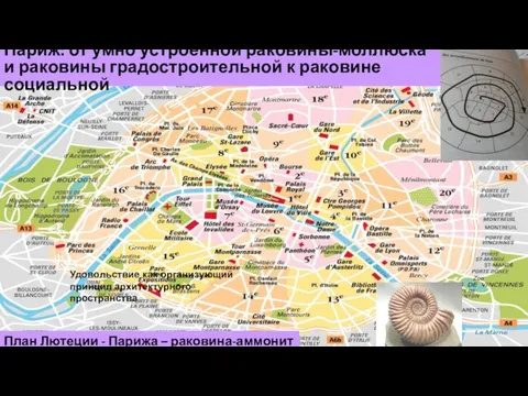 Париж: от умно устроенной раковины-моллюска и раковины градостроительной к раковине социальной План