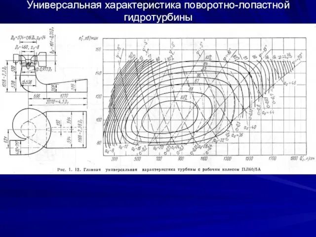 Универсальная характеристика поворотно-лопастной гидротурбины