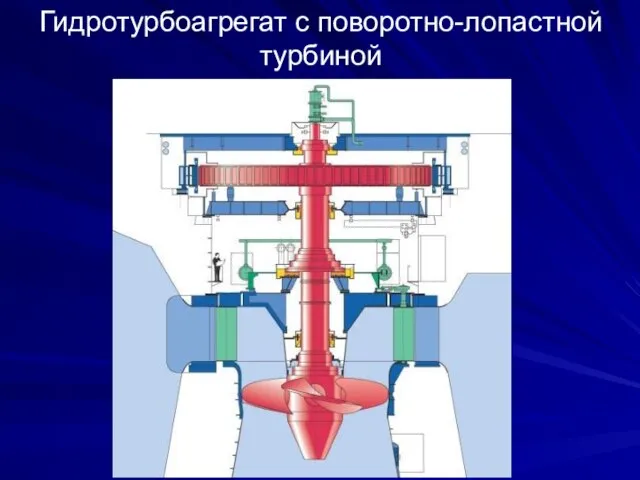 Гидротурбоагрегат с поворотно-лопастной турбиной