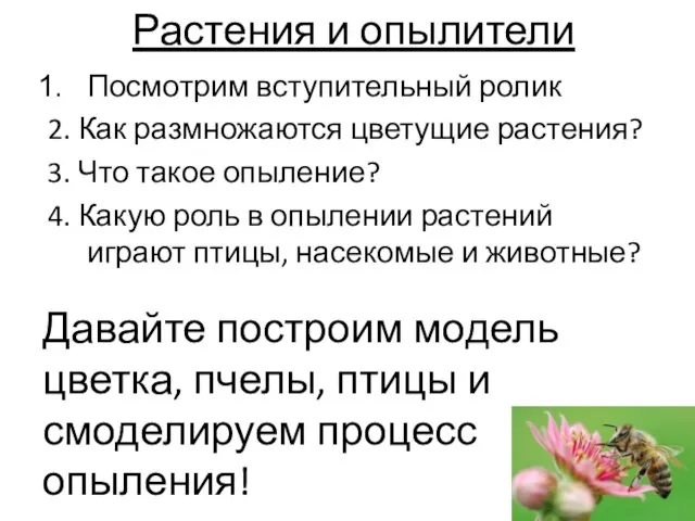 Растения и опылители Посмотрим вступительный ролик 2. Как размножаются цветущие растения? 3.