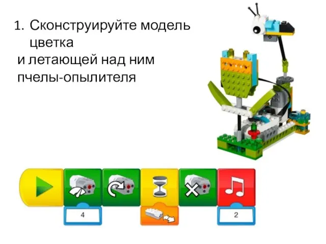 Сконструируйте модель цветка и летающей над ним пчелы-опылителя