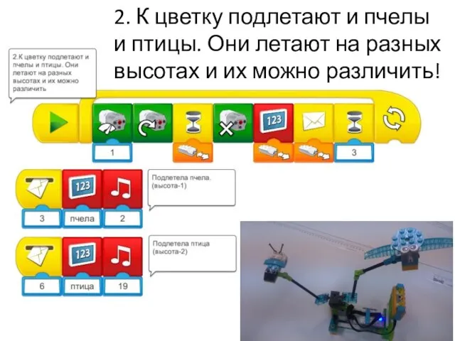 2. К цветку подлетают и пчелы и птицы. Они летают на разных