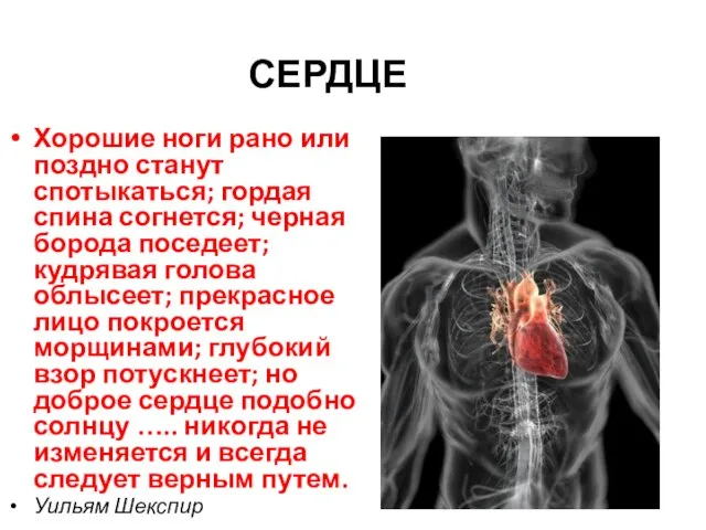 СЕРДЦЕ Хорошие ноги рано или поздно станут спотыкаться; гордая спина согнется; черная