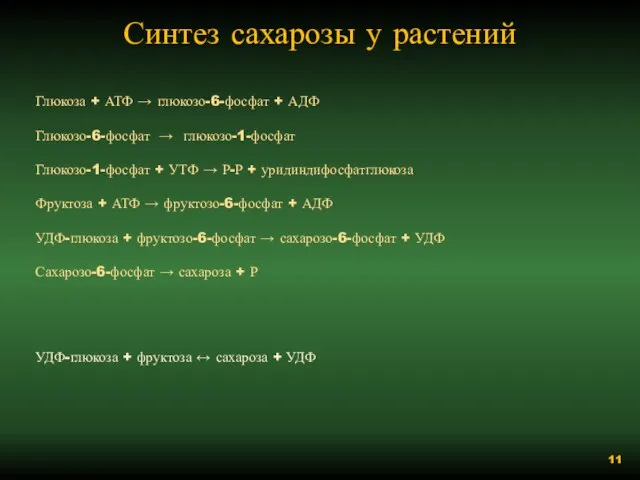 Синтез сахарозы у растений Глюкоза + АТФ → глюкозо-6-фосфат + АДФ Глюкозо-6-фосфат