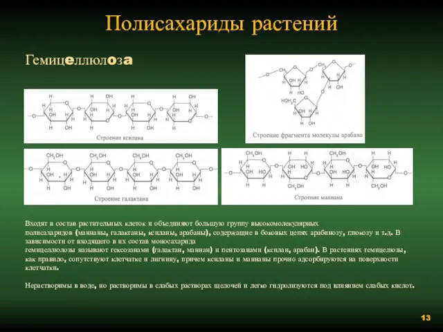 Полисахариды растений Гемицeллюлoзa Входят в состав растительных клеток и объединяют большую группу