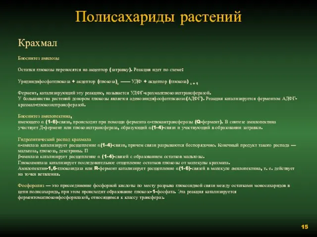 Полисахариды растений Крахмал Биосинтез амилозы Остатки глюкозы переносятся на акцептор (затравку). Реакция