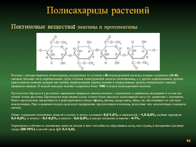Полисахариды растений Пектиновые вещества: пектины и протопектины Пектины - водорастворимые полисахариды, построенные