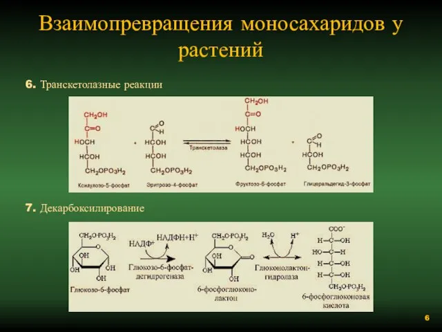 Взаимопревращения моносахаридов у растений 6. Транскетолазные реакции 7. Декарбоксилирование