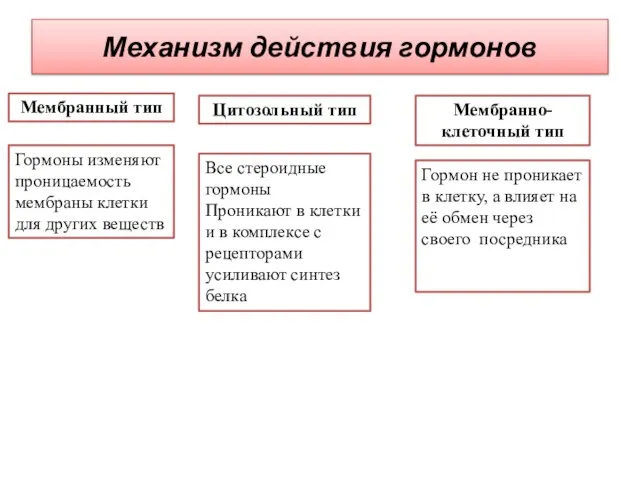 Механизм действия гормонов Мембранный тип Цитозольный тип Мембранно-клеточный тип Гормон не проникает