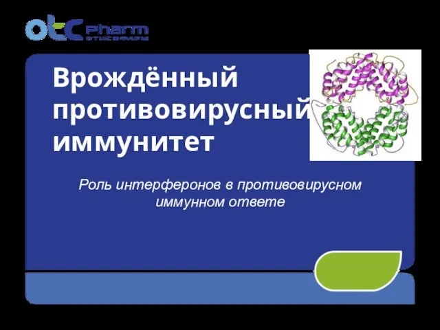 Врождённый противовирусный иммунитет Роль интерферонов в противовирусном иммунном ответе