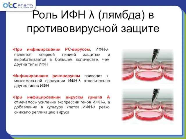 При инфицировании РС-вирусом, ИФН-λ является «первой линией защиты» и вырабатывается в большем