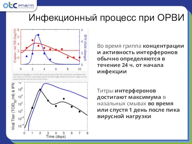 Инфекционный процесс при ОРВИ Во время гриппа концентрации и активность интерферонов обычно