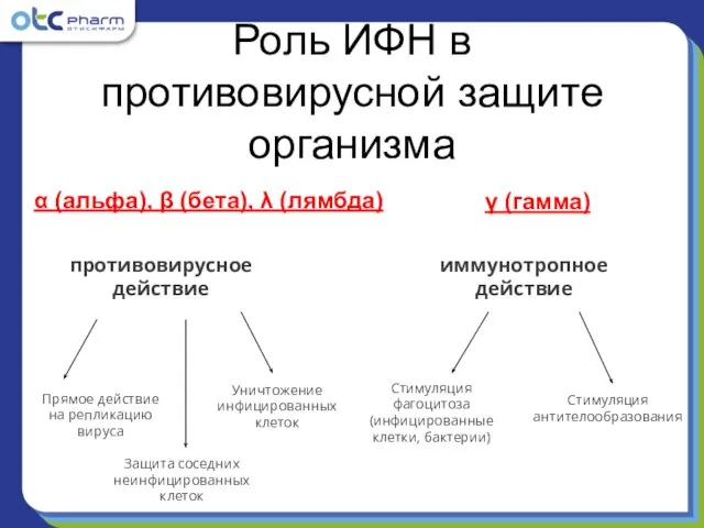 Роль ИФН в противовирусной защите организма α (альфа), β (бета), λ (лямбда)