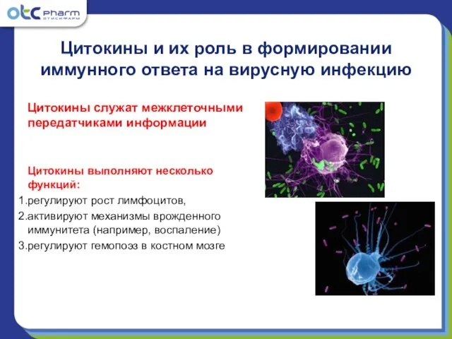 Цитокины и их роль в формировании иммунного ответа на вирусную инфекцию Цитокины