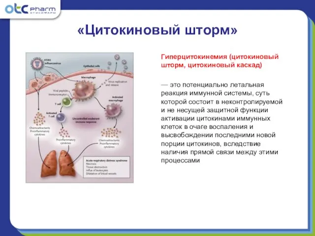 «Цитокиновый шторм» Гиперцитокинемия (цитокиновый шторм, цитокиновый каскад) — это потенциально летальная реакция