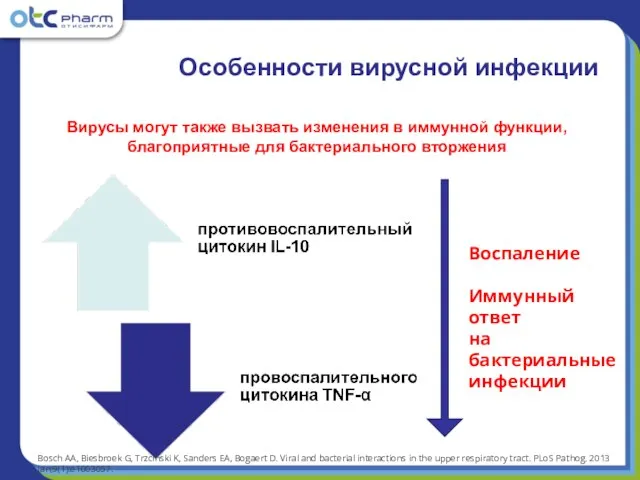 Вирусы могут также вызвать изменения в иммунной функции, благоприятные для бактериального вторжения