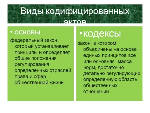 Виды кодифицированных актов основы федеральный закон, который устанавливает принципы и определяет общие