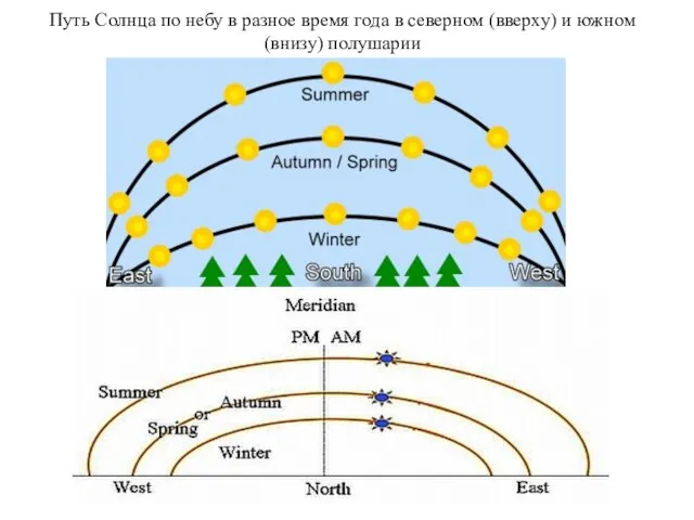 Путь Солнца по небу в разное время года в северном (вверху) и южном (внизу) полушарии