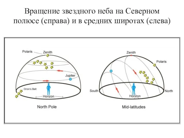 Вращение звездного неба на Северном полюсе (справа) и в средних широтах (слева)