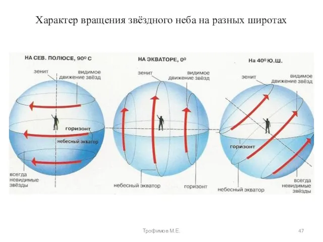 Характер вращения звёздного неба на разных широтах Трофимов М.Е.