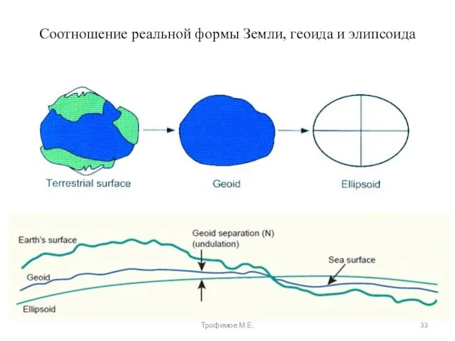 Соотношение реальной формы Земли, геоида и элипсоида Трофимов М.Е.